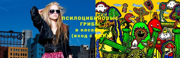 шишки Алексеевка
