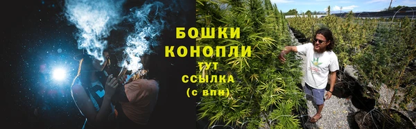 шишки Алексеевка