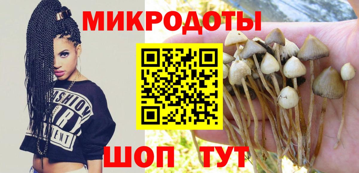 Псилоцибиновые грибы Psilocybine cubensis Дзержинск