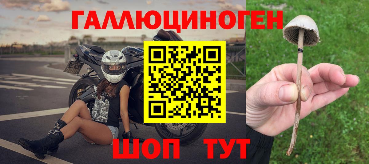 Дзержинск  что такое   Вход с VPN  Псилоцибиновые грибы Psilocybe  Псилоцибиновые грибы Psilocybine cubensis 
